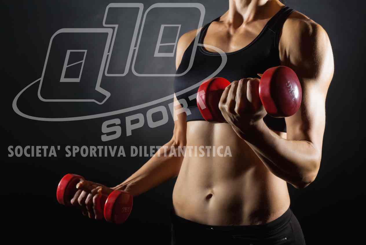 Q10sport palestra padova